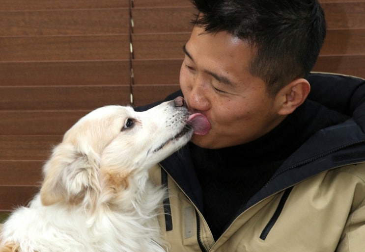  강형욱 다올이 견종