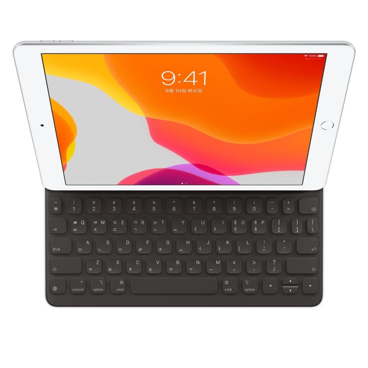 애플 Smart Keyboard Korean MX3L2KH/A! 꼭 사세요 정말~