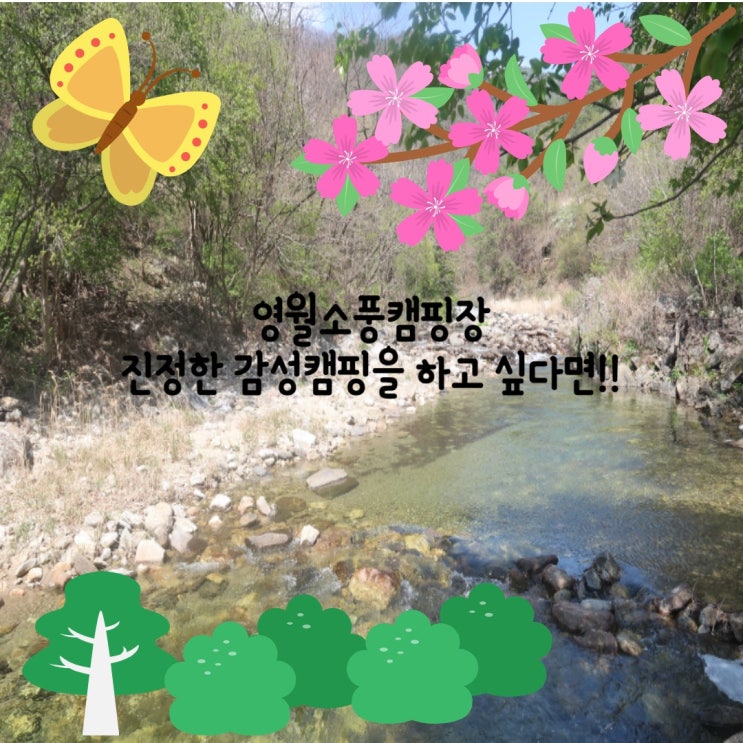 언제가도 좋은 강원도 영월캠핑장 추천, 영월소풍캠핑장으로 떠나기