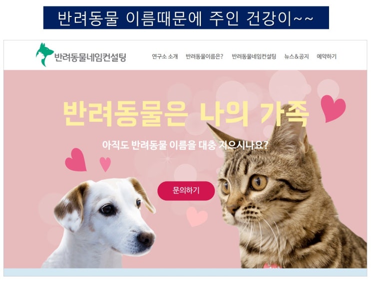  반려동물 이름 때문에 내가 아플까?