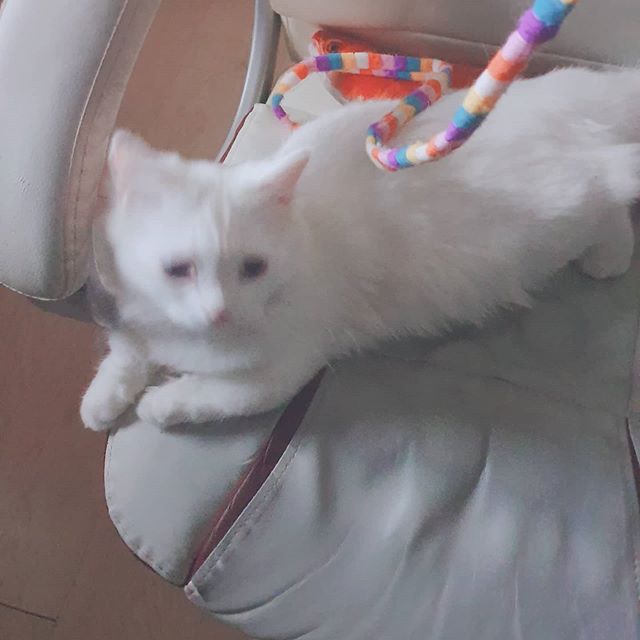  새벽 1시 시작된 파뤼나잇
