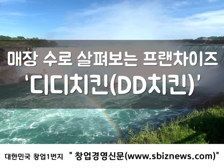  매장 수로 살펴보는 프랜차이즈 ‘디디치킨(DD치킨)’