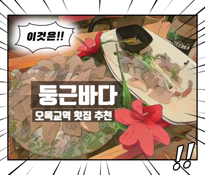  [오목교] 둥근바다 - 산오징어회 / 회세트 추천