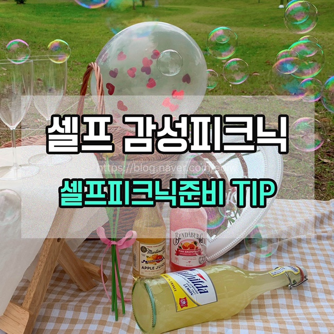 [셀프감성피크닉] 셀프피크닉준비 TIP