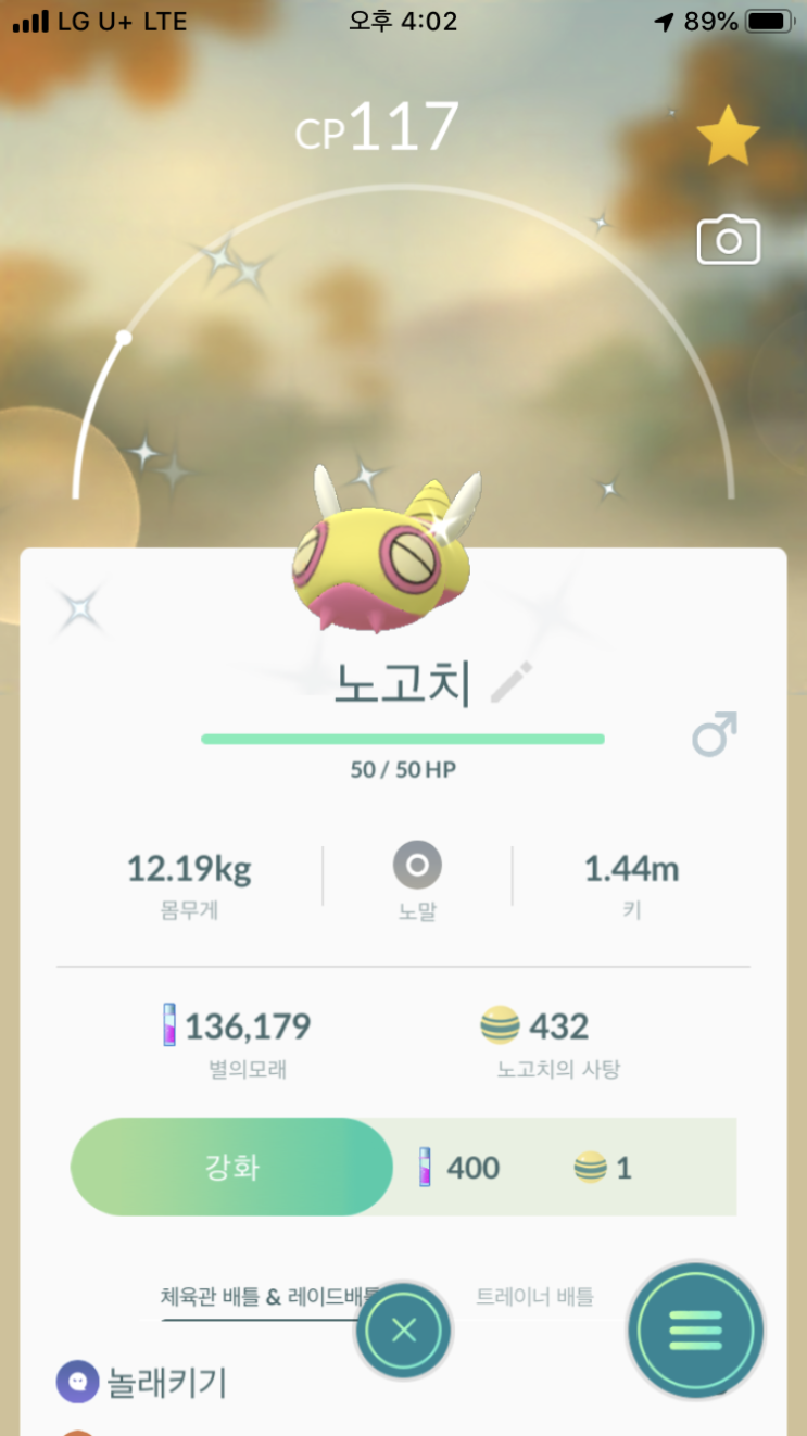  노고치 이로치