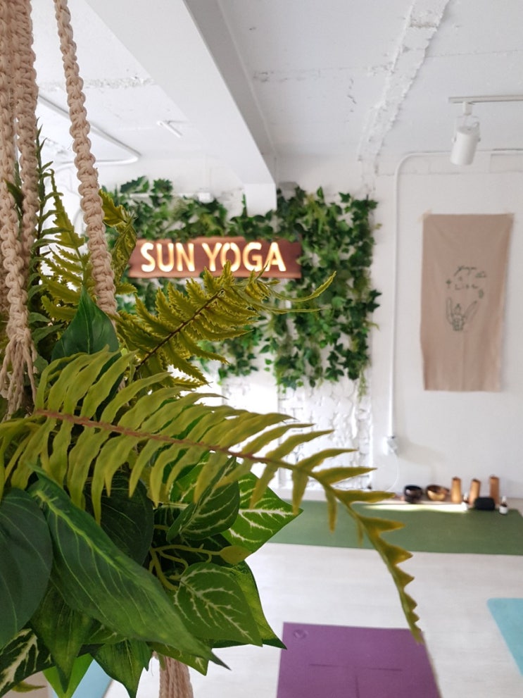  성수동 요가 SUN YOGA 후기