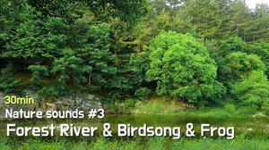 Nature sounds #3. Forest River & Birdsong & Frog | Sleep, Relax, Calm, Meditation | 30min