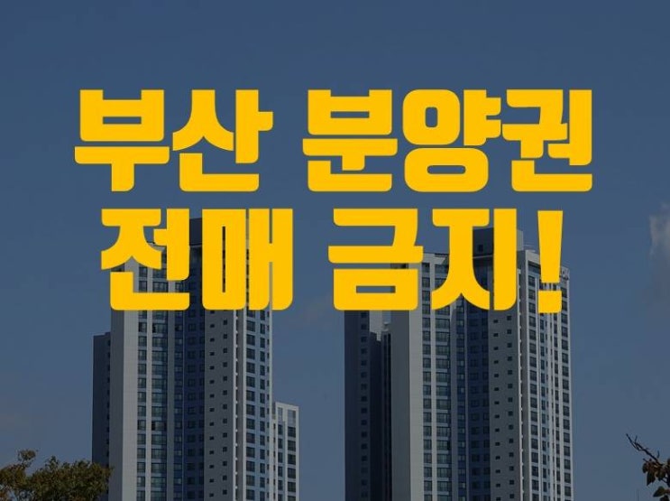 [속보] 부산 아파트 분양권 전매 금지!