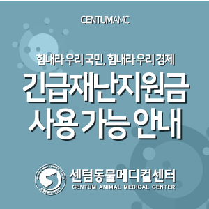 부산 전국민 긴급재난지원금 사용 가능 안내 (연중무휴 동물병원 센텀동물메디컬센터)
