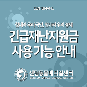  부산 전국민 긴급재난지원금 사용 가능 안내 (연중무휴 동물병원 센텀동물메디컬센터)
