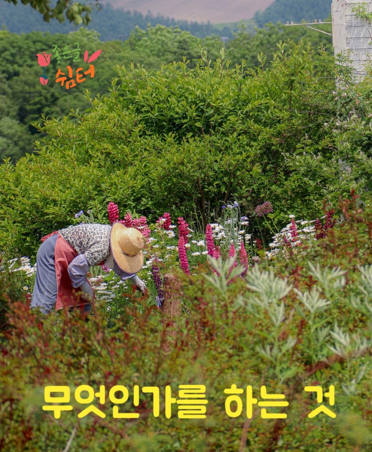  이름트라우트 타르의《페퍼민트 나를 위한 향기로운 위로》
