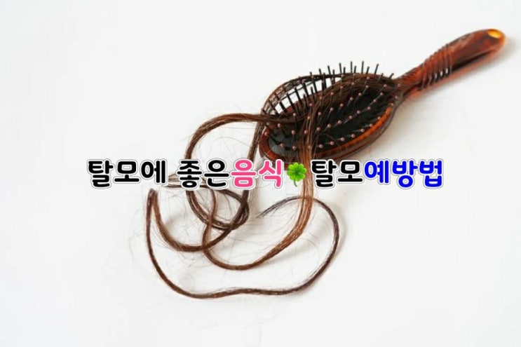 탈모'에 좋은 음식 & '탈모' 예방법 탈모'에 좋은 음식 & '탈모' 예방법