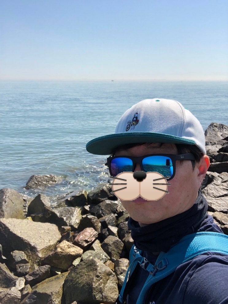  쇼크리더와 목줄에 대해서(차이점, 개념등)