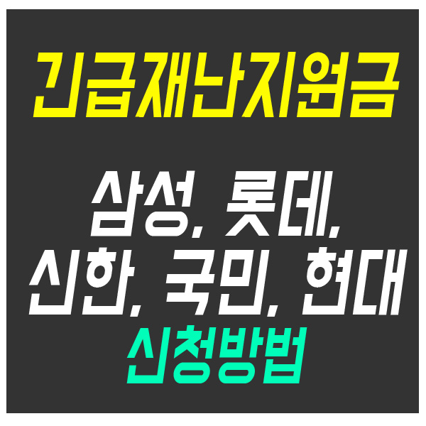 긴급재난지원금 신한카드, 삼성카드, 롯데카드, 국민카드, 현대카드 신용카드 신청방법