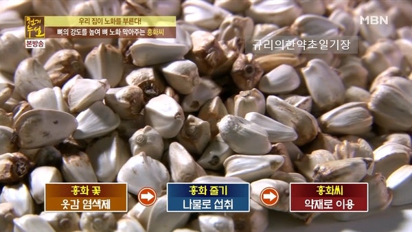뼈에 좋은 약초, 홍화씨 효능 홍화씨 1