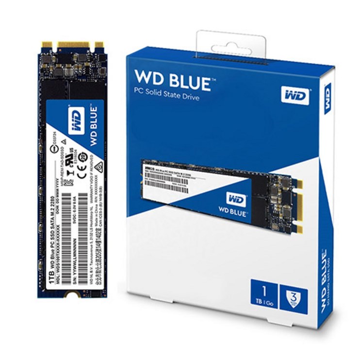 WD Blue M.2 SSD 정말 가격좋군요