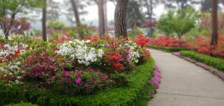 서산 가볼만한곳 : 쉼이 있는 정원 (무료)