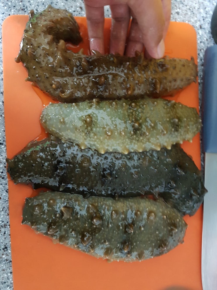  해루질 해삼손질법 및 해삼효능과 식감 그대로 보관하는 해삼보관 방법까지~^^