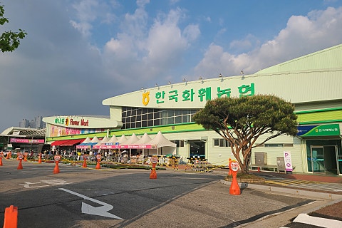 일산플라워화분마트 이미지