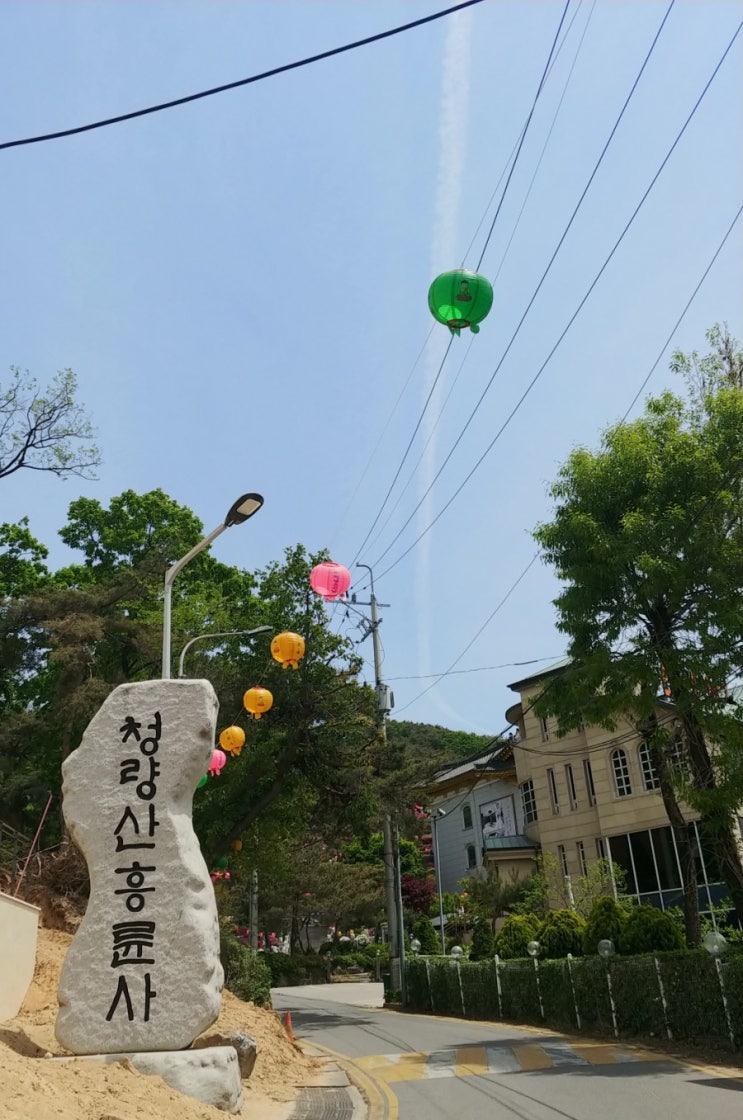  [일상] '청량산 흥륜사' 절 산책하기