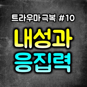  트라우마 치료 ~불안치료/내성과 응집력/마음의 쿠션