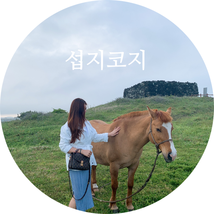  제주도 동쪽 코스 필수 관광지 :: 자연의 선물 섭지코지