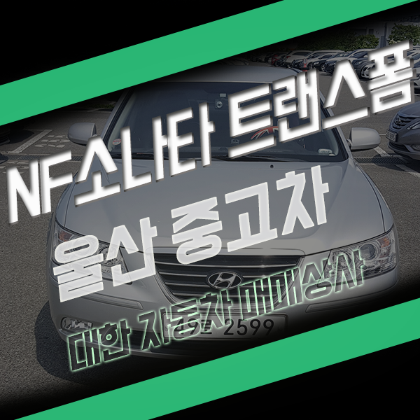  저렴한 중고차 NF 소나타 울산에서 만나요