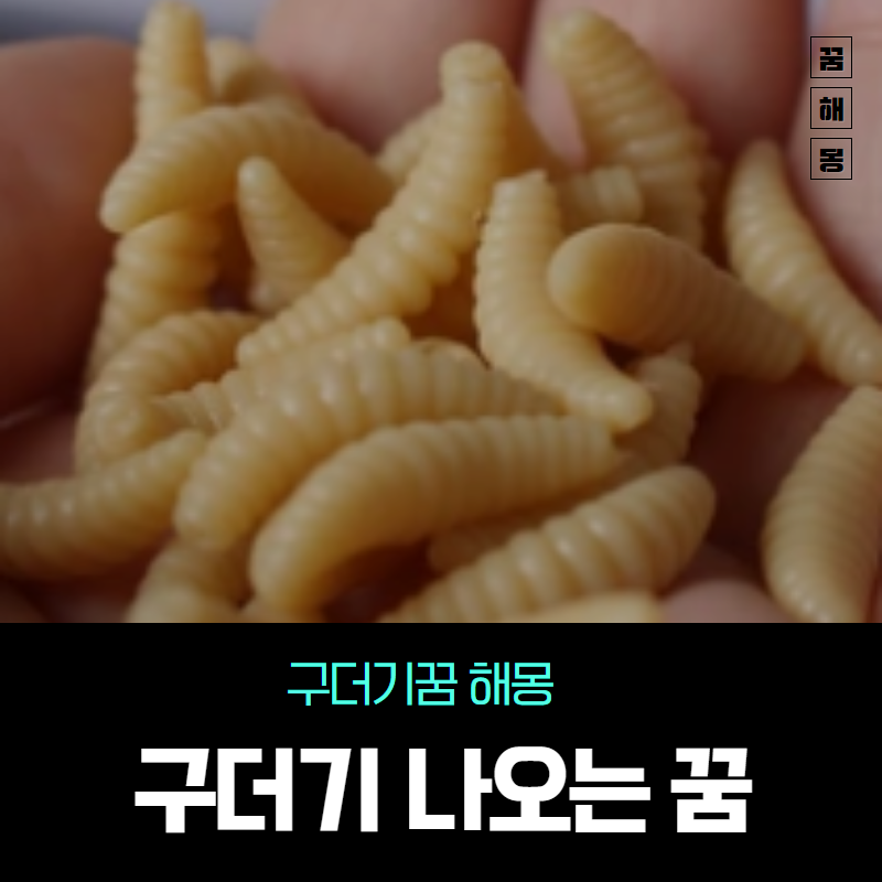 구더기 나오는 꿈 구더기꿈 해몽은 좋은꿈 VS 나쁜꿈