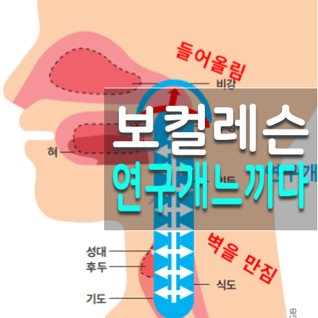  보컬트레이닝 후기 10주차 처음으로 연구개를 느껴보다.