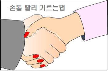 손톱 빨리 기르는법 참고하세요