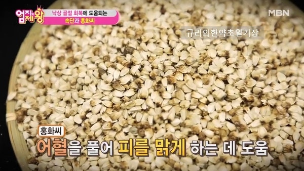 뼈에 좋은 약초, 홍화씨 효능 홍화씨 2