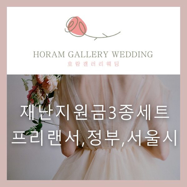  특고-프리랜서 특별지원금, 서울시 재난 긴급생활비, 정부 재난지원금 (3종 세트) 신청해 보기