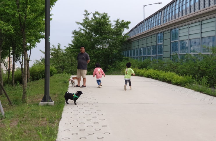 동네 쎈언니 사월이와 날쌘돌이 쵸파. 똥꼬발랄 영웅이. 시고르자브종들의 신나는 강아지산책