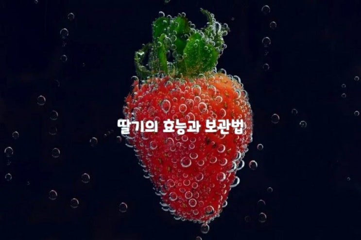 딸기의 효능과 보관법 딸기의 효능과 보관법