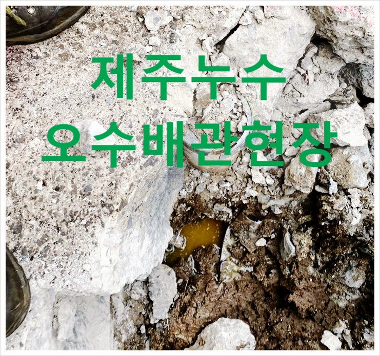  제주누수   서사라 골목 오수배관현장