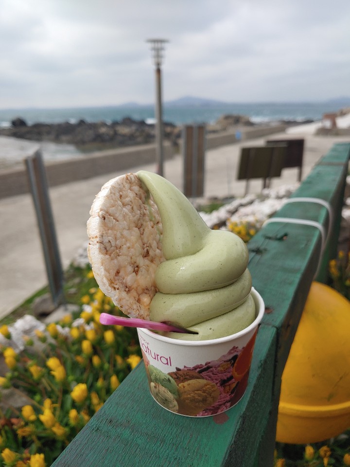  오늘 하루도 청보리 아이스크림!!( 선착장3분거리 가파도 상동편의점)