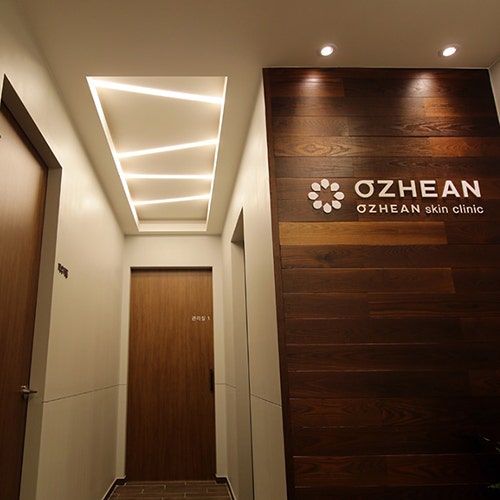 소수의 피부과 전문의가 식별한 색소