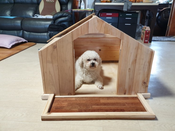  유일한 #정성스런 #도그하우스제작