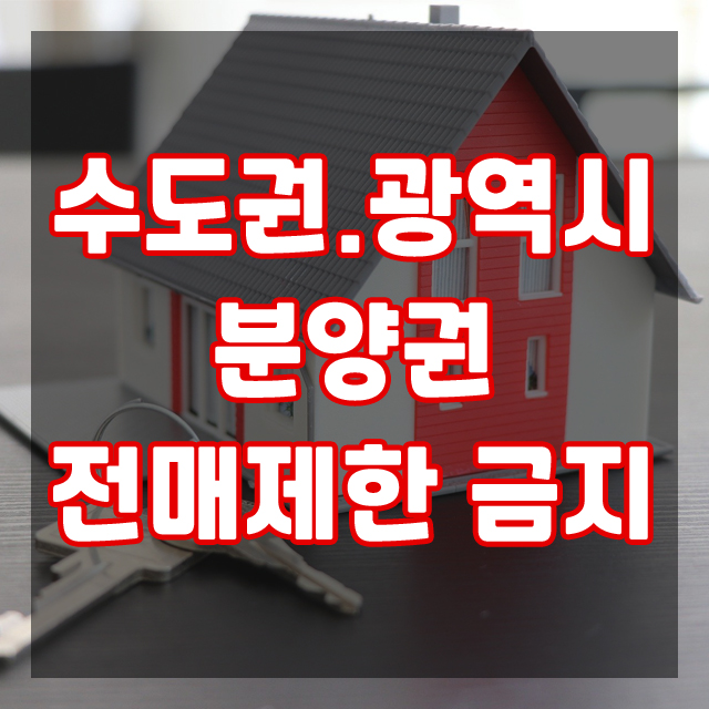  주택법 시행령, 수도권 광역시 아파트 분양권 전매금지