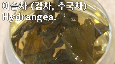 [Korean Teatime] 水菊 이슬차 (감로차, 수국차)  Hydrangea - Relaxed Music