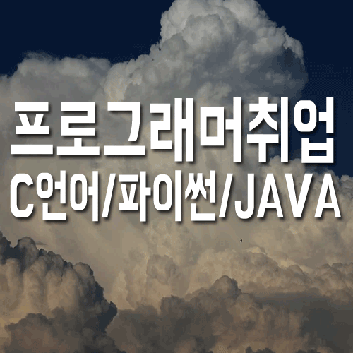  프로그래머취업 : C언어? 자바? 기초부터 시작하자.