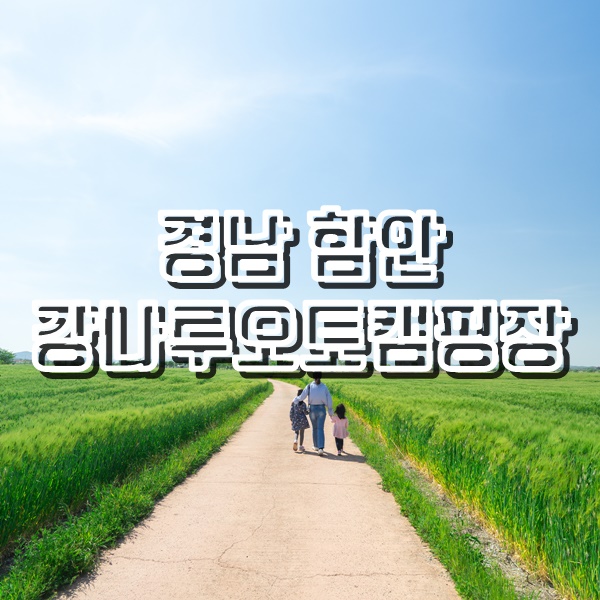  [경남 함안군 여행] 강나루오토캠핑장 청보리밭과 등나무꽃, 함안냉면맛집 신풍식육식당