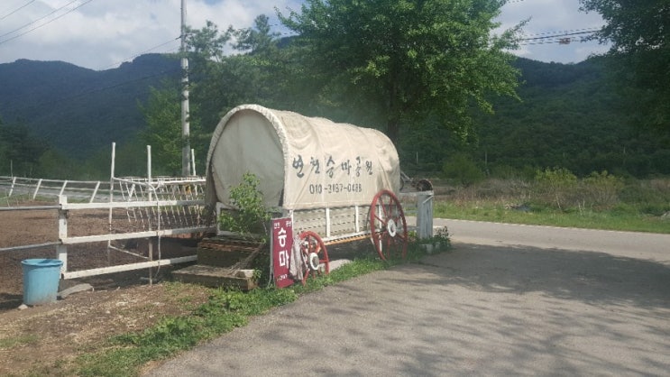 [연천승마공원] 말 한번 타시죠~~