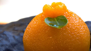 수제 한라봉 양갱Sweet jelly of dekopon(Hanrabong)Korean Street Food 수제 한라봉 양갱Sweet jelly of dekopon(Hanrabong)Korean Street Food