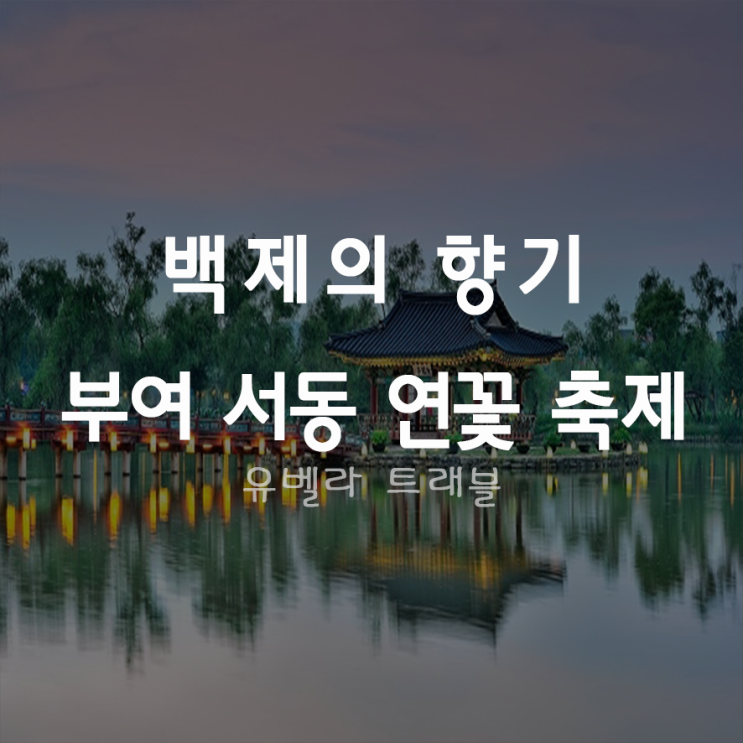 [부산출발] 부여 서동 연꽃축제 7월12일 출발 부산출발 수송버스 포함