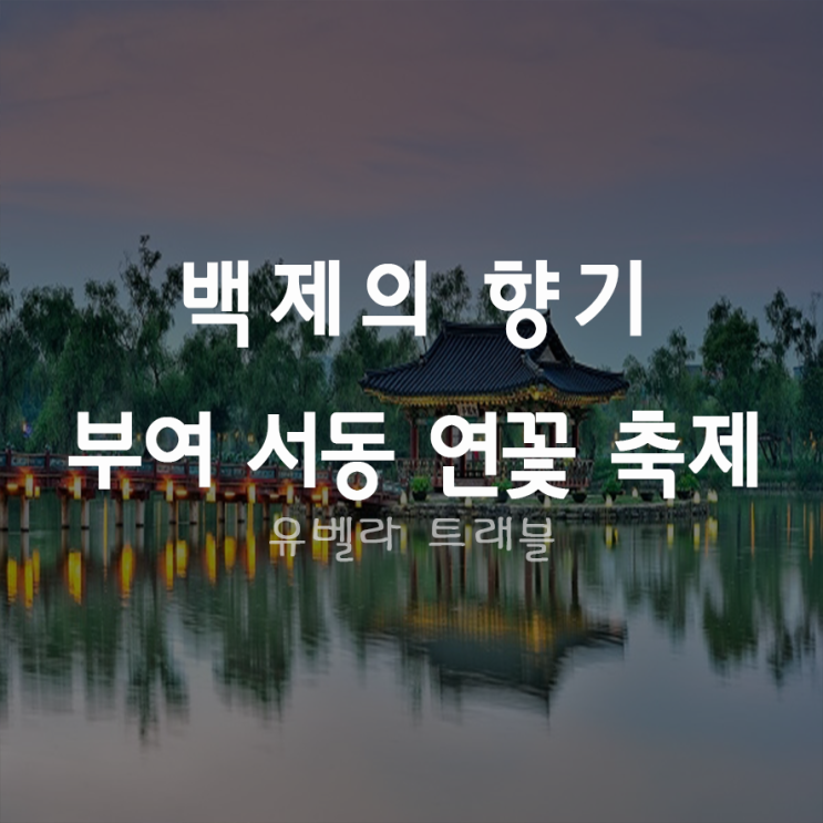  [부산출발] 부여 서동 연꽃축제 7월12일 출발 부산출발 수송버스 포함