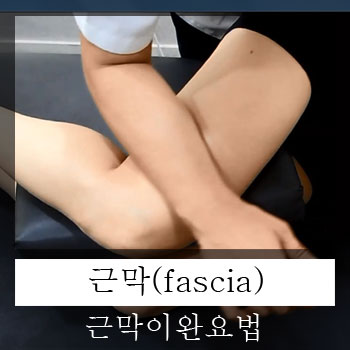  근막(fascia)이란?