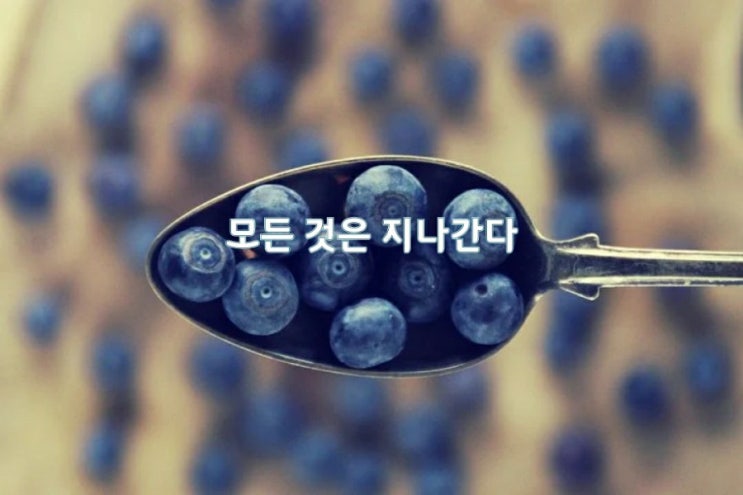 모든 것은 지나간다 모든 것은 지나간다