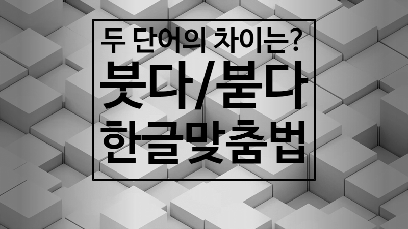 붓다/붇다 한글맞춤법 '어떻게 다를까?' : 네이버 블로그
