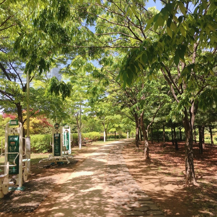  [블로그씨]푸릇푸릇 동네